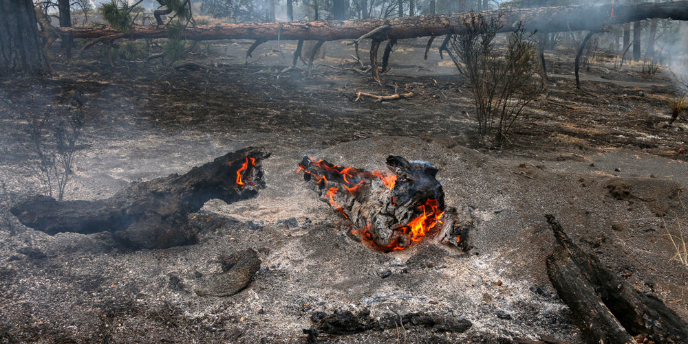 1000HDRMaroonFire-3.jpg